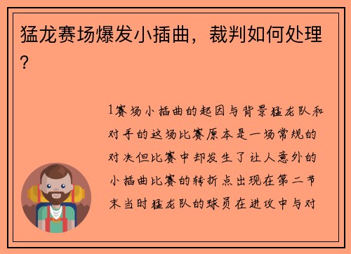 猛龙赛场爆发小插曲，裁判如何处理？